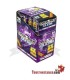 Paper Cone Cyclone Purple 1x2