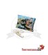 Rolls Filter Pocket Pack 10ud - Whater