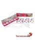 Carta Juicy Jay 1 letto King Size 110 mm gusto Lampone