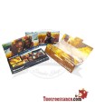 Ziggi King Size Africa Mix 110 mm papier + tips
