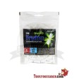 Filtres FRUTTA -Mojito- 6mm avec capsule 100 unités