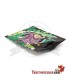 Bolsa G-Rollz Diseño Colossal Dream 150x200 mm