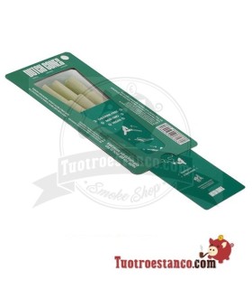 Chanvre Vert Hollandais Bio 78 mm présentoir 6 cônes