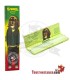 G-rollz Pets Rock Reggae King Size Green Paper