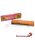 Mascotte ADF Samski King Size Brown Paper + Filtros