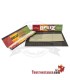 Beuz Organic Hemp Paper King Größe 110 mm - 50 Broschüren