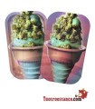 Tabuleiro de metal + tampa de gelado 27x16cm