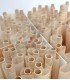 Exposição de 1000 Corujas Naturais de Cones King