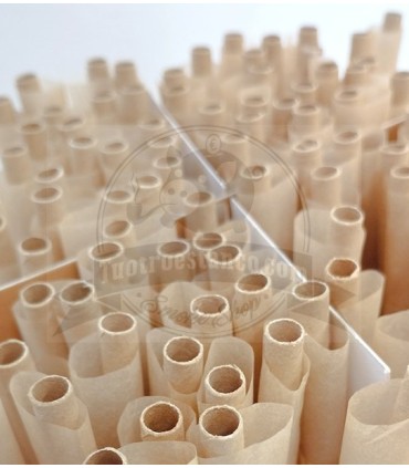 Exposição de 1000 Corujas Naturais de Cones King