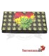 Hibron Bob Marley tabakshouder
