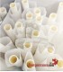 Exposição de 1000 cones-rei Coruja de Tamanho Clássico