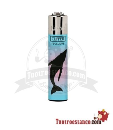Clipper Onder de Zee