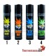 Clipper Alemania Home Grown