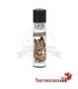 Clipper Germany Kater