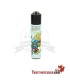 Clipper Micro Asian Dragons